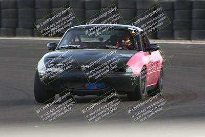 media/Jan-25-2025-CalClub SCCA (Sat) [[03c98a249e]]/Race 4/